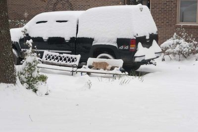 2011 Jan Snow-55.jpg