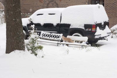 2011 Jan Snow-56.jpg