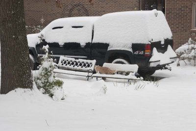 2011 Jan Snow-57.jpg