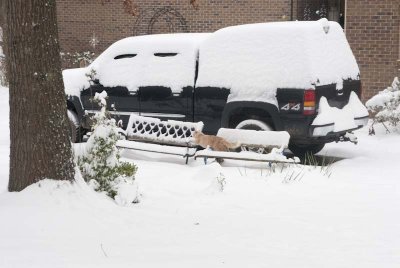 2011 Jan Snow-58.jpg