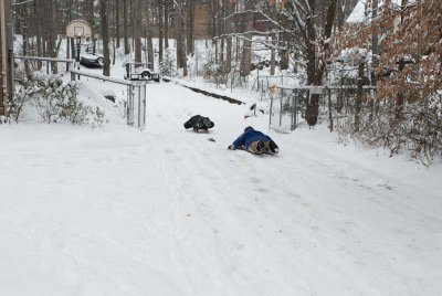 2011 Jan Snow-69.jpg