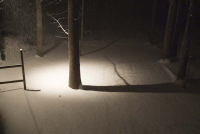2011 Jan Snow-7.jpg