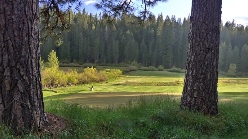 Wawona Golf Course