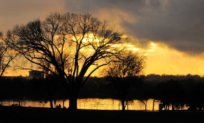 DSC_5176_1.JPG