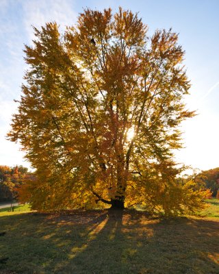 DSC_4672_1.jpg
