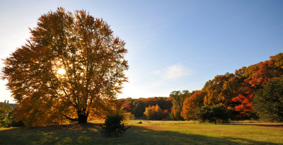 DSC_4727_1.jpg