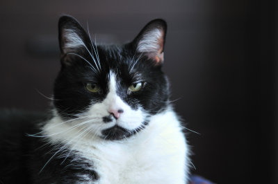 pablo