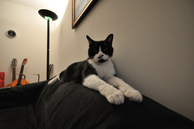 DSC_0868.jpg