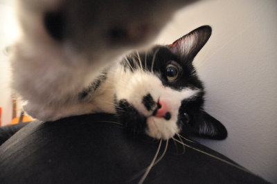DSC_0884.jpg