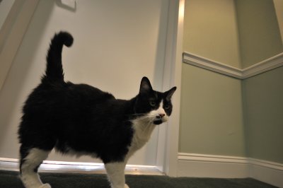 DSC_0463.jpg