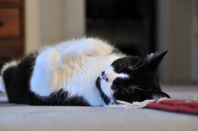 DSC_0541.jpg