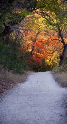  TEXAS HIll Country