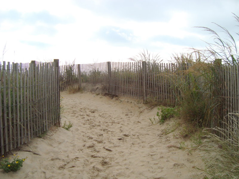 Beach Ahead