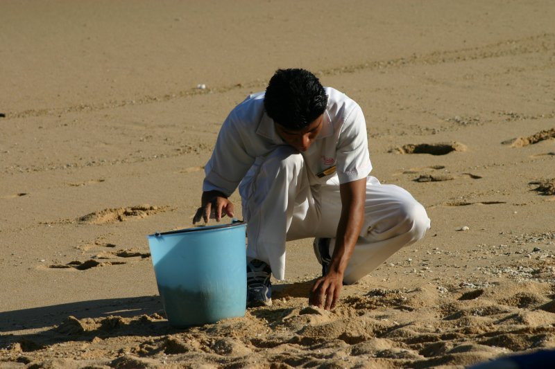 Pebble Picker