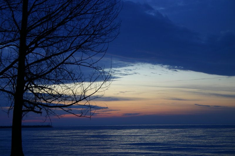 Pickering Morning