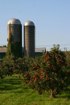 September Apples
