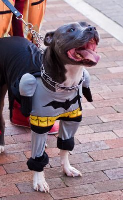 Super Bowser