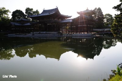 DSC_6319.jpg