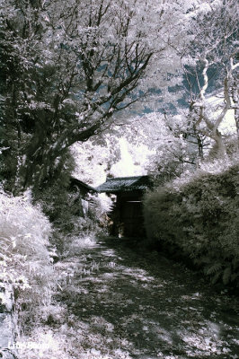 DSC_2984.jpg