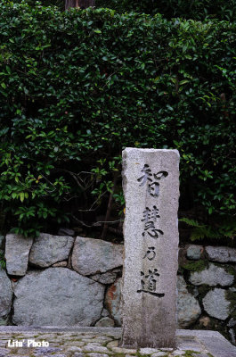 DSC_7083.jpg
