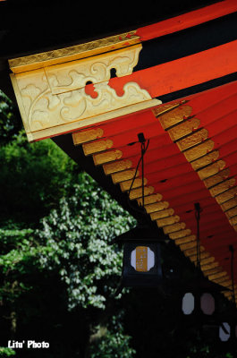 DSC_7242.jpg
