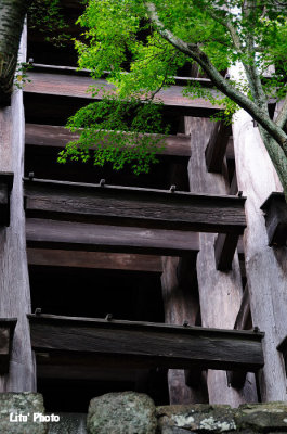 DSC_7434.jpg