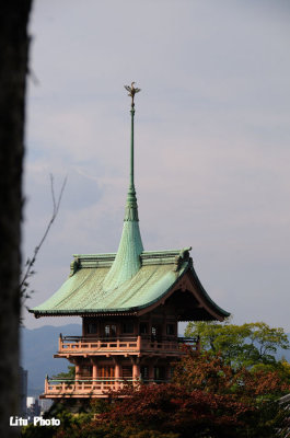 DSC_7505.jpg
