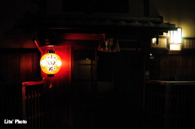 DSC_7684.jpg
