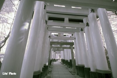 DSC_3123.jpg