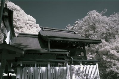 DSC_3132.jpg