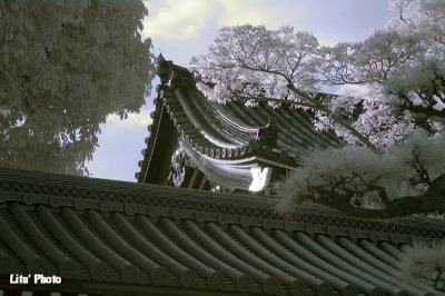 DSC_3145.jpg