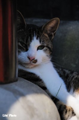 DSC_7922.jpg