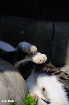 DSC_7923.jpg