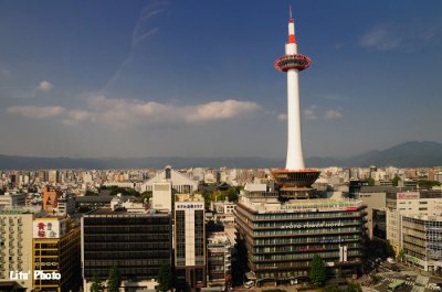 DSC_7973.jpg