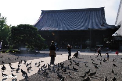 DSC_7997.jpg
