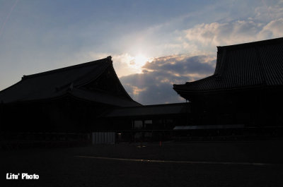 DSC_8049.jpg