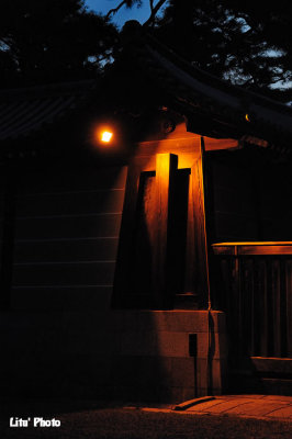 DSC_8103.jpg