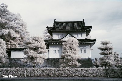DSC_3163.jpg