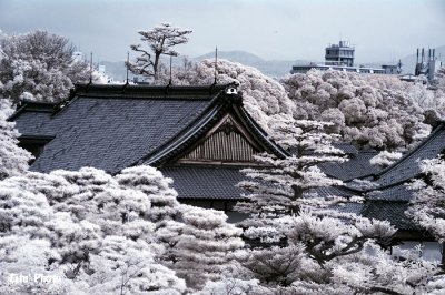 DSC_3205.jpg