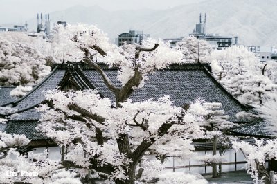DSC_3206.jpg