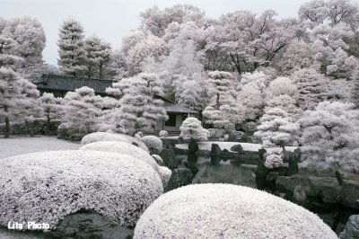 DSC_3213.jpg