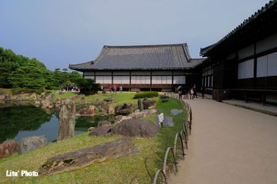 DSC_8203.jpg