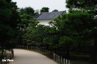 DSC_8210.jpg