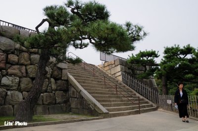 DSC_8229.jpg