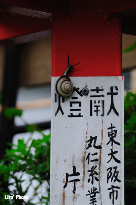 DSC_8660.jpg