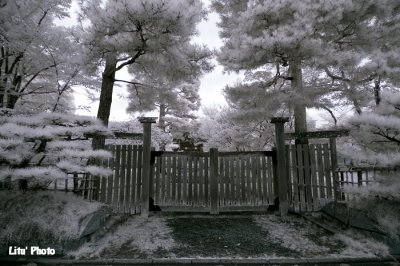 DSC_3271.jpg