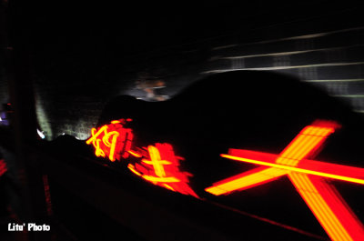 DSC_9316.jpg