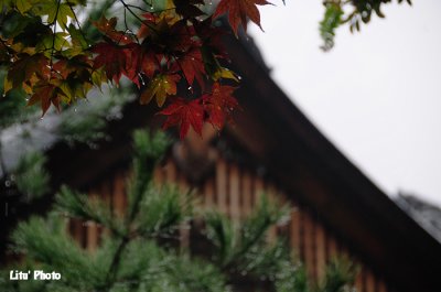 DSC_9373.jpg