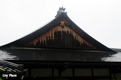 DSC_9383.jpg