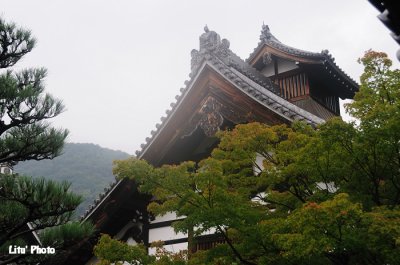 DSC_9425.jpg